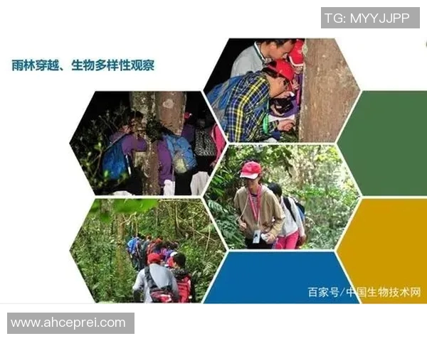 科学网球中的意识训练技巧与方法探究与实践分享