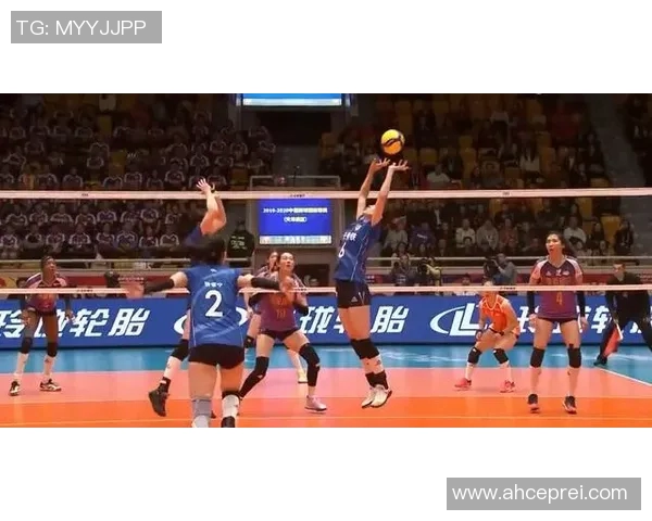 武汉排球队的节奏与魅力探索聚焦排球运动的未来发展与挑战